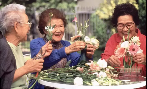 QQ截图20190212133525.png