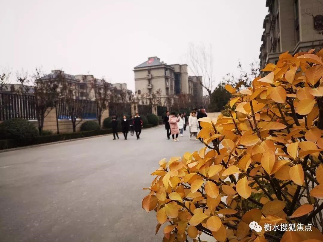 微信图片_20200406102209.jpg 微信图片_20200406102209.jpg