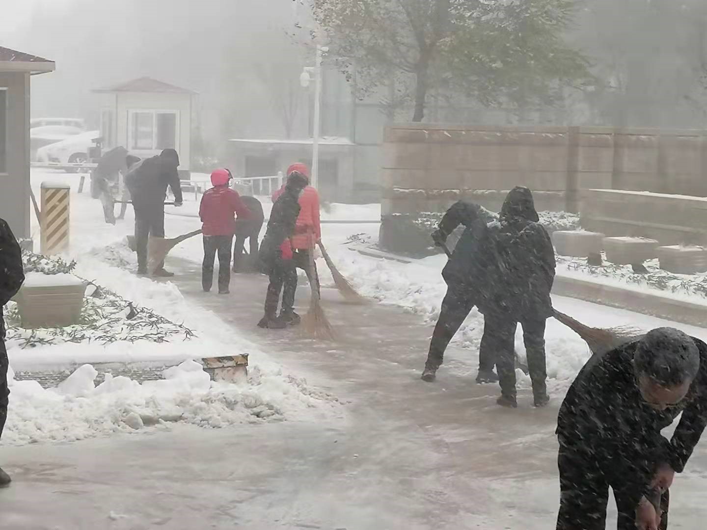扫雪3.jpg