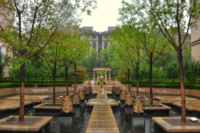 亚龙湾雨记：十年时光的静谧光景